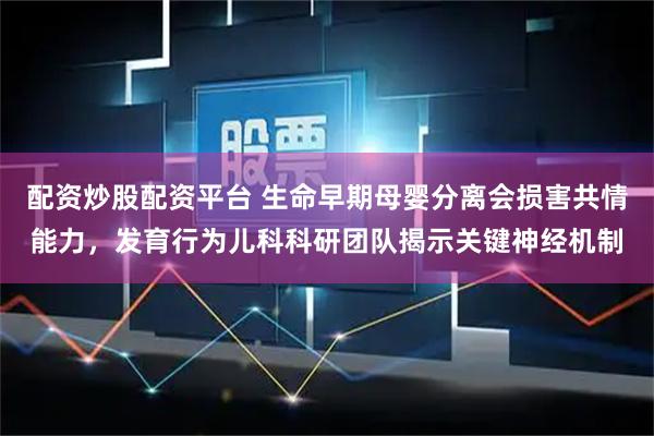 配资炒股配资平台 生命早期母婴分离会损害共情能力，发育行为儿科科研团队揭示关键神经机制